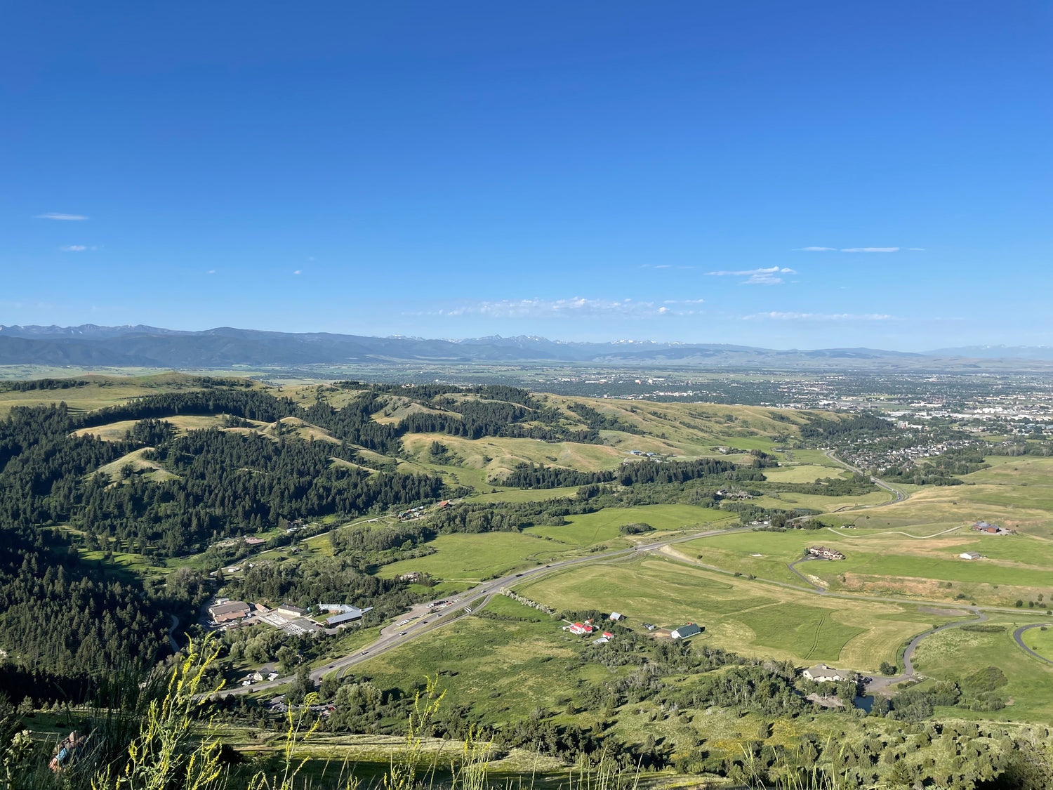 An image of the Bozeman Gallatin Valley from the top after hiking "The M". One can see the vibrant green valley and pine trees, with the town in the distance and the bright blue big sky.